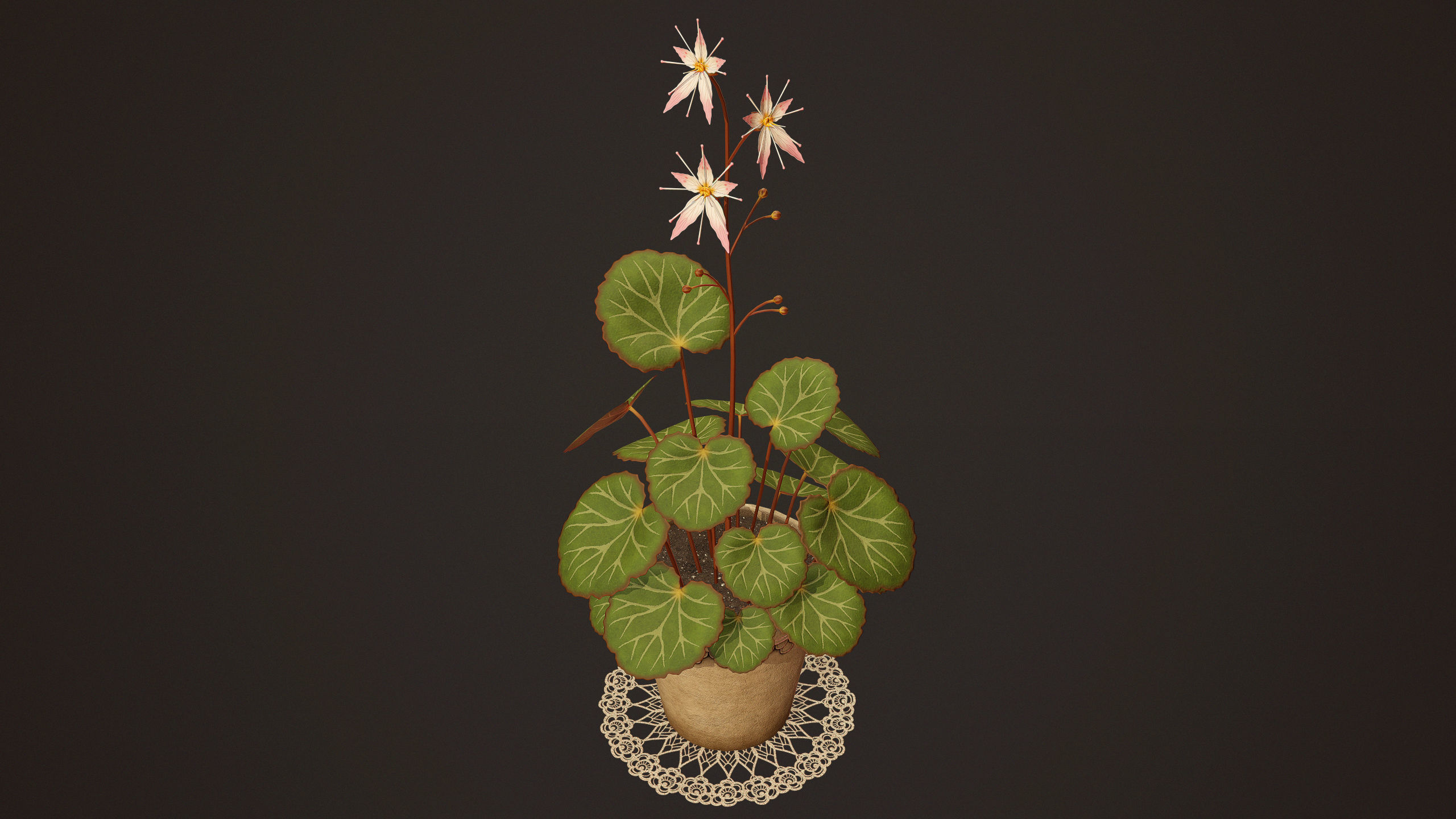 House Plant - PBR Game Ready Low-poly 3D model_3