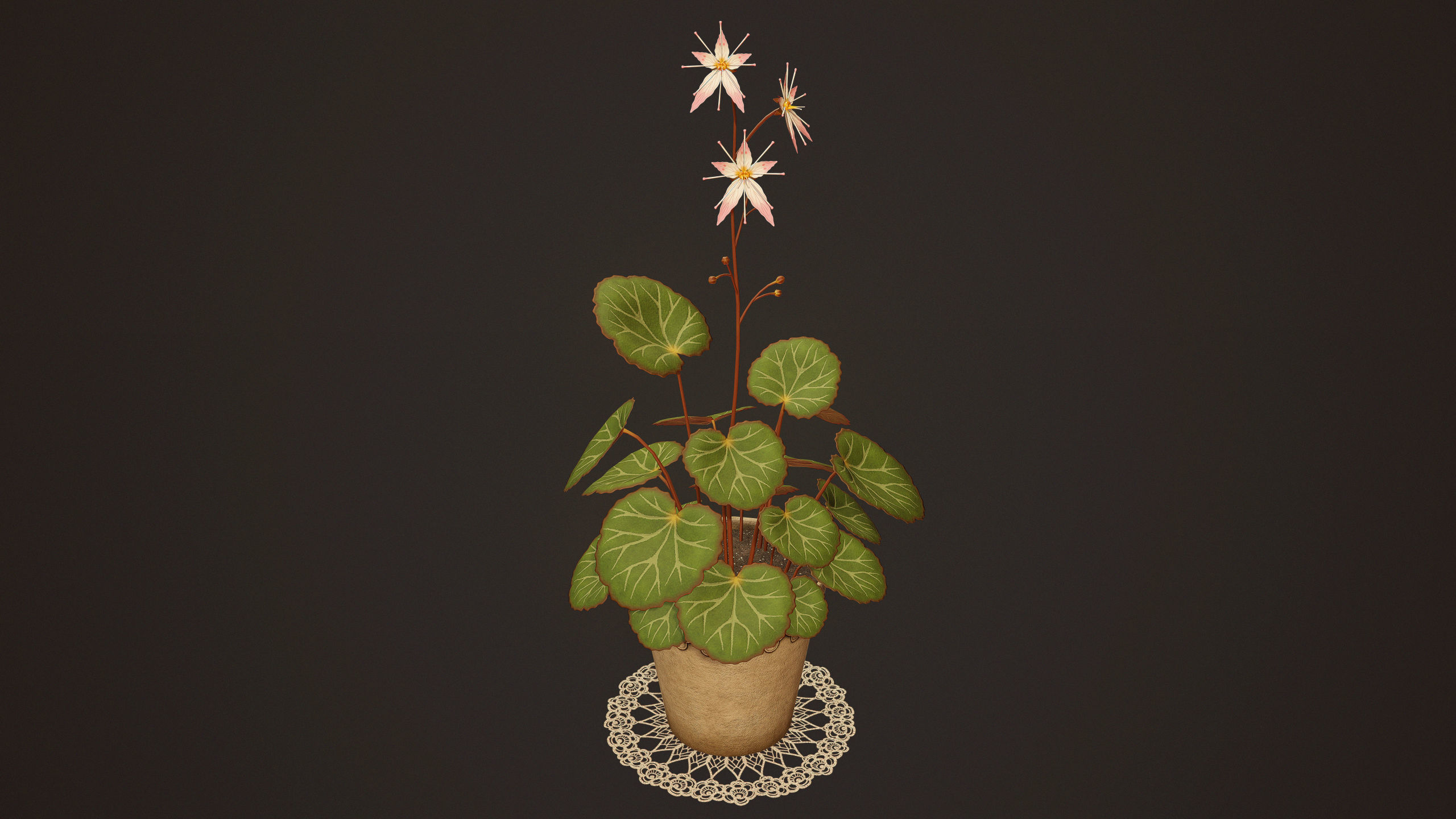 House Plant - PBR Game Ready Low-poly 3D model_4