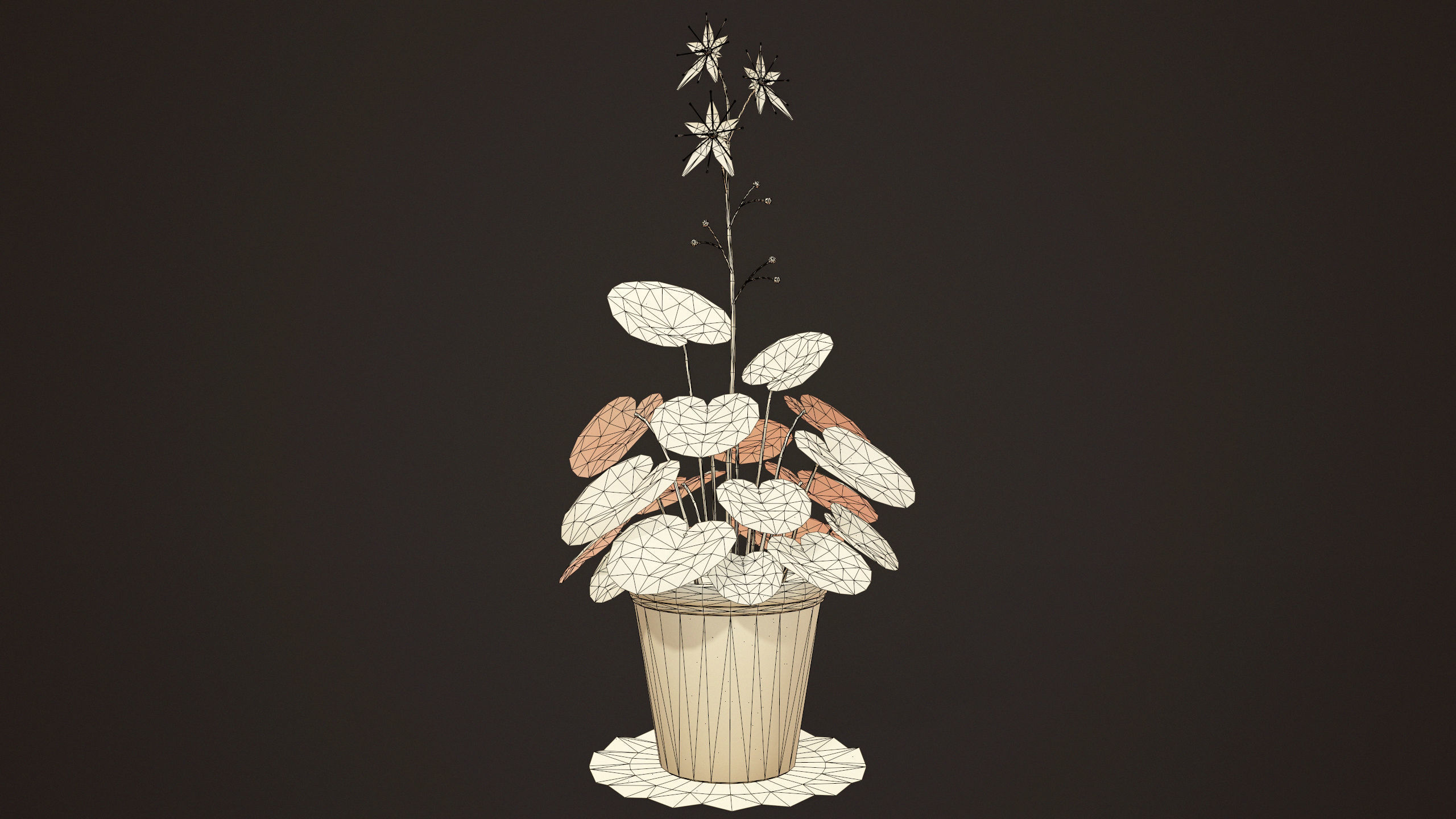 House Plant - PBR Game Ready Low-poly 3D model_9