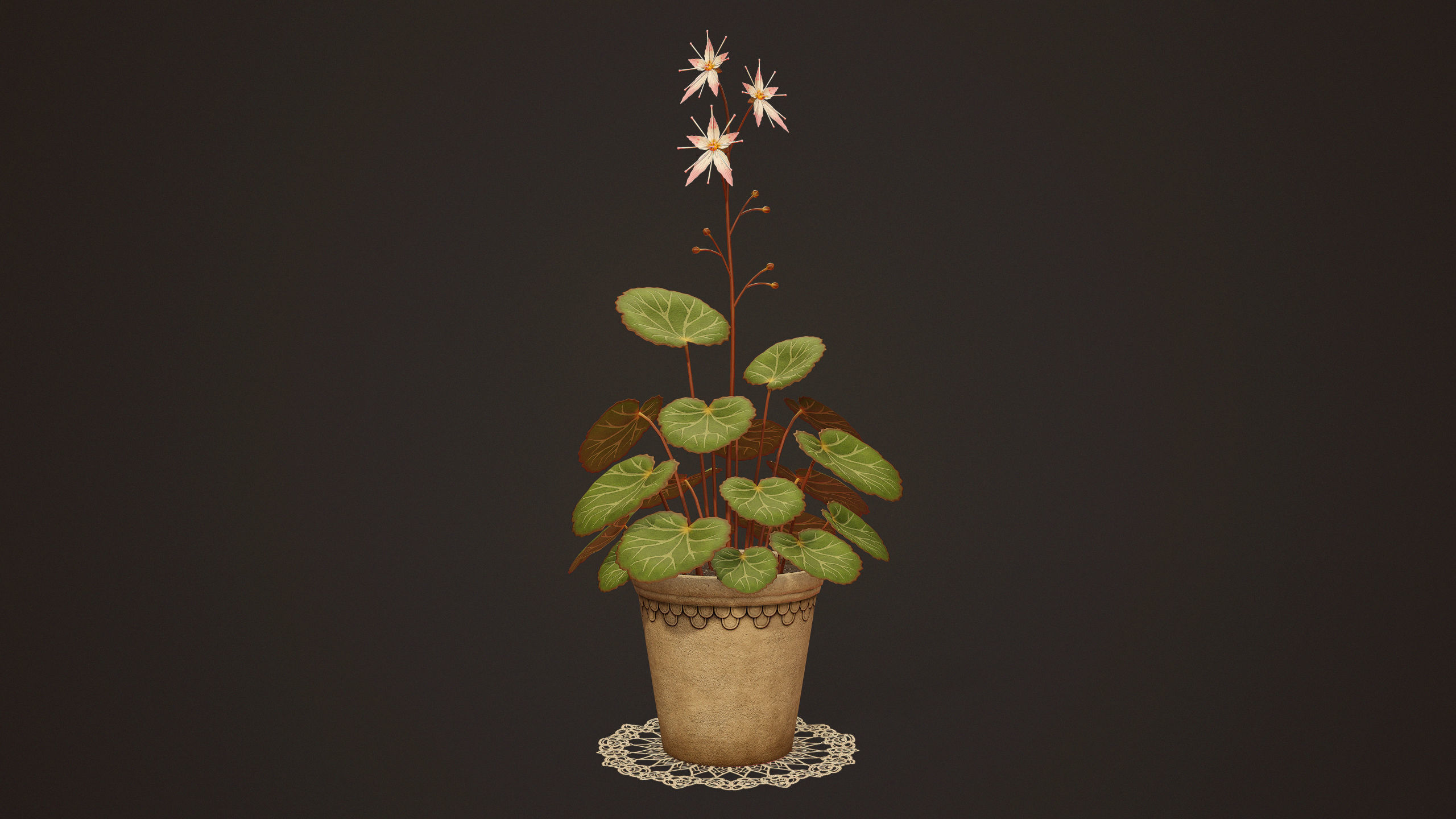 House Plant - PBR Game Ready Low-poly 3D model_2