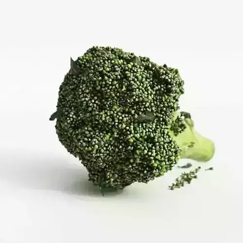 Fresh Green Broccoli