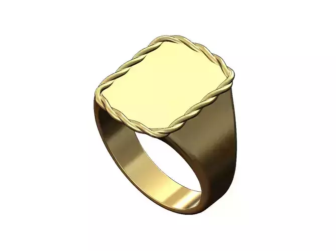 Braided rope slot dogtag shaped signet US size 6 to 11