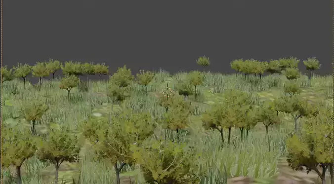 Landscape for best scene in forest