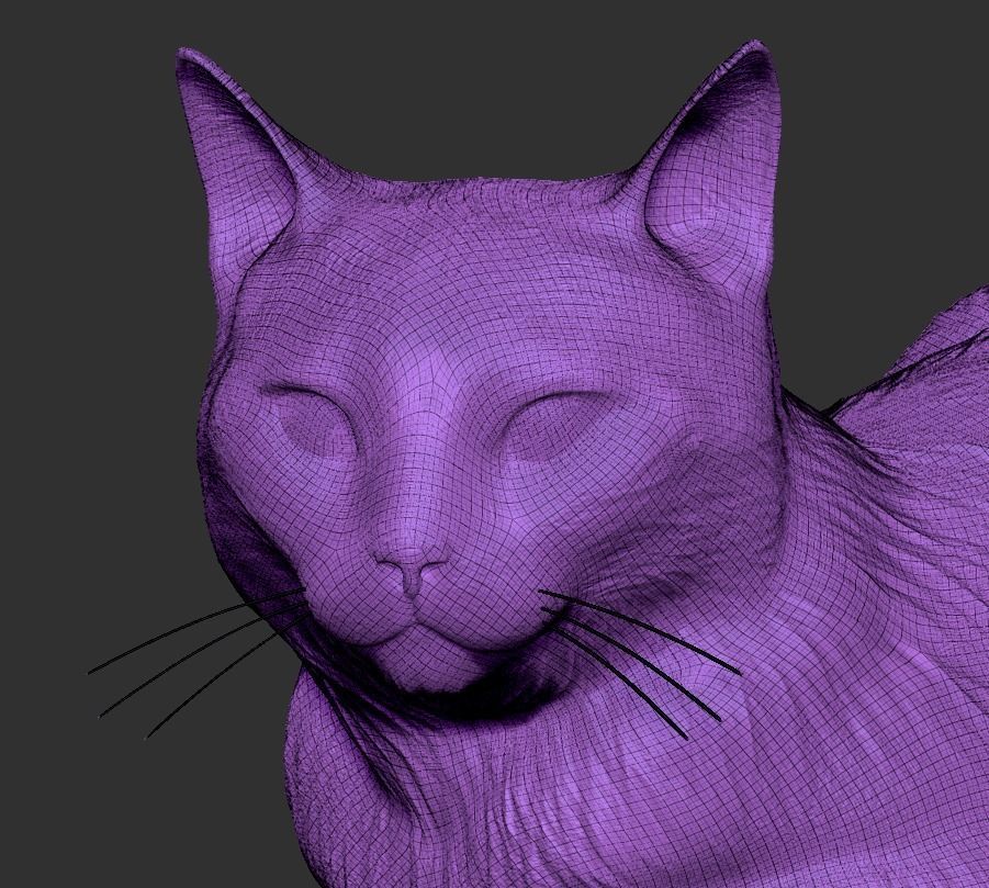 Laying cat 14 Low-poly 3D model_5