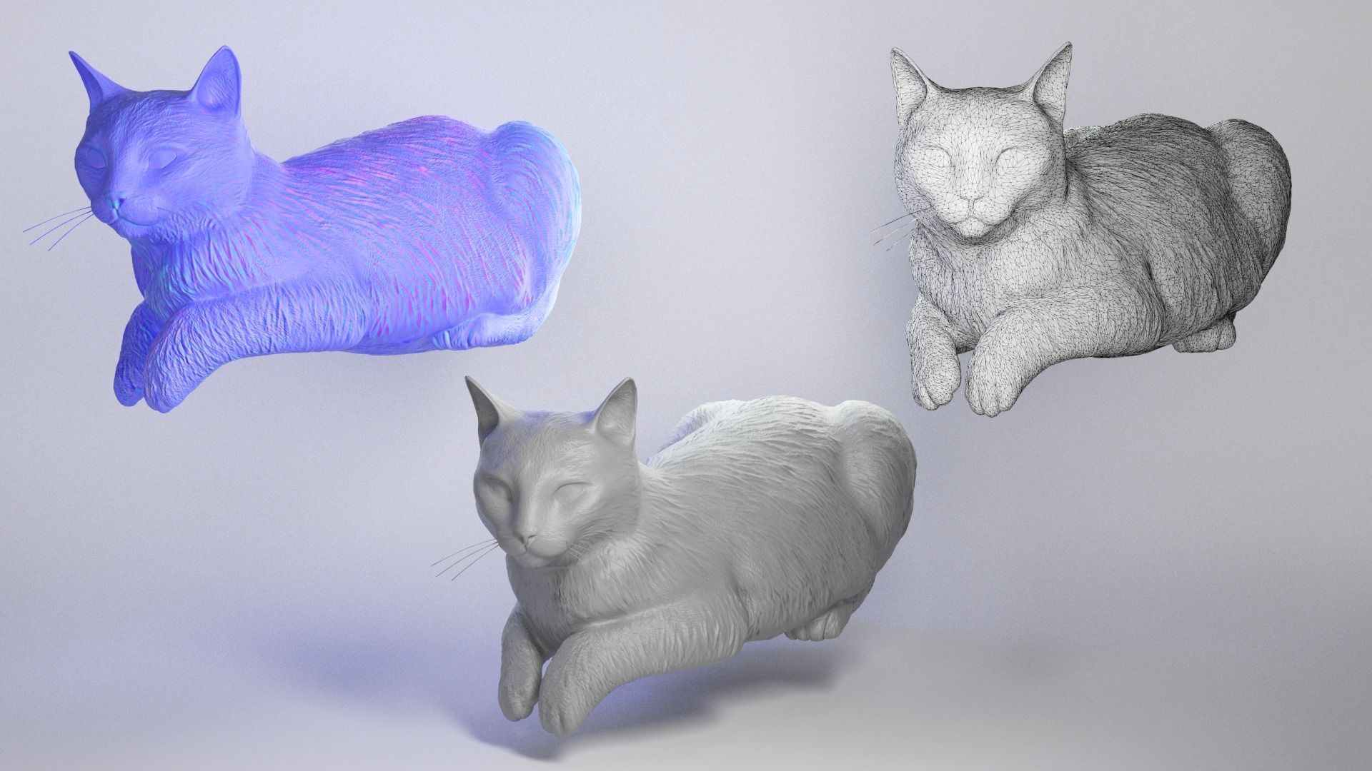 Laying cat 14 Low-poly 3D model_3