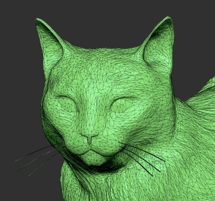 Laying cat 14 Low-poly 3D model_7