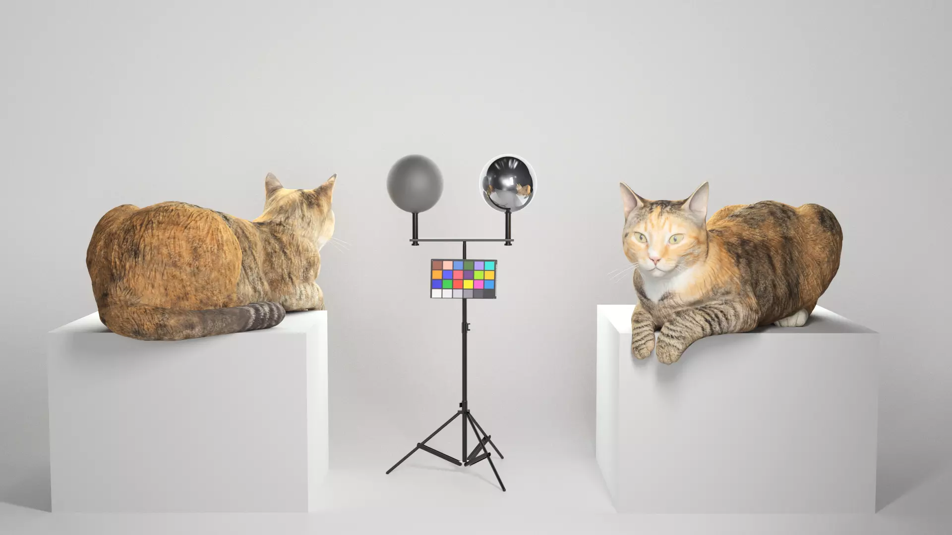 Laying cat 14 Low-poly 3D model_0