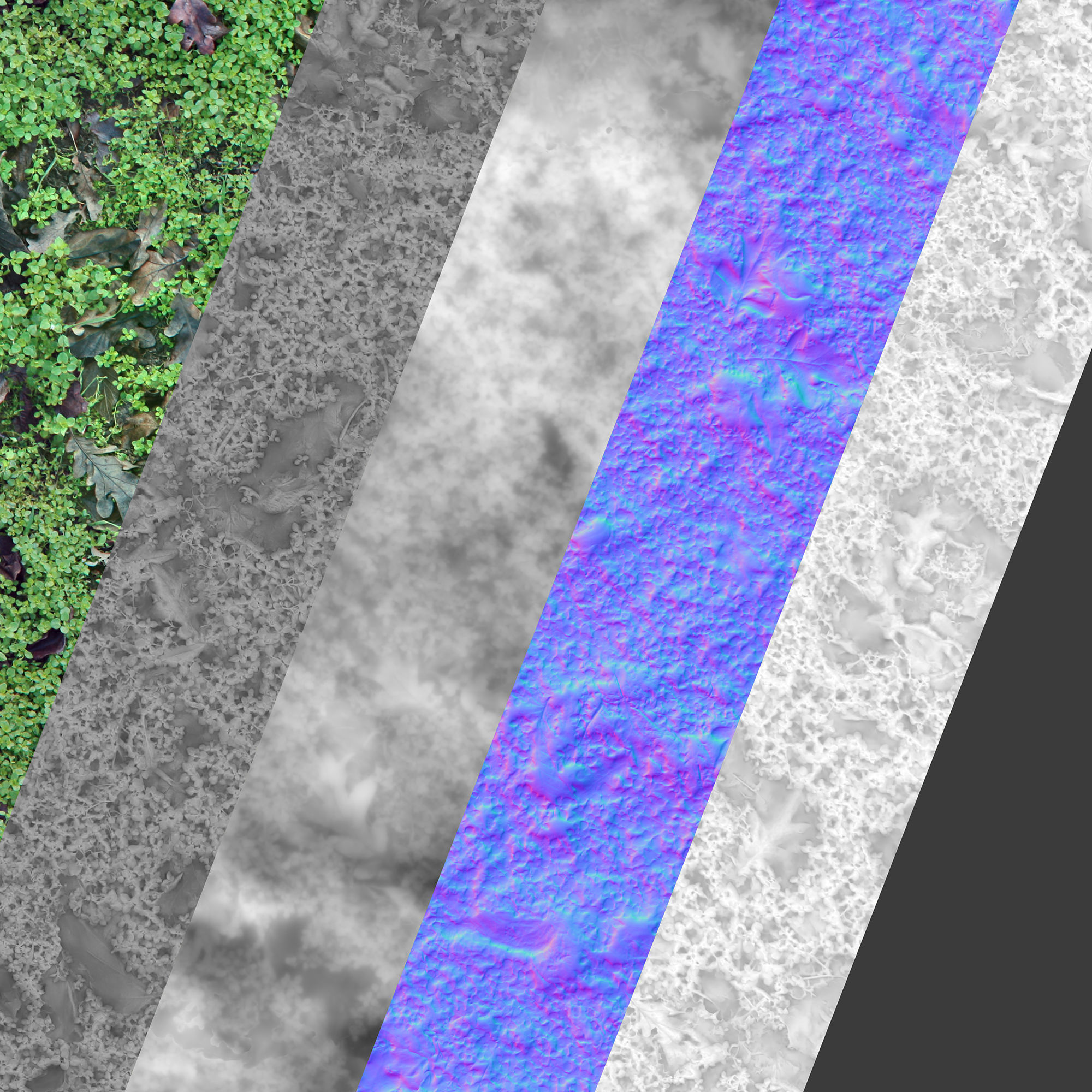 Clover Grass PBR Texture_2