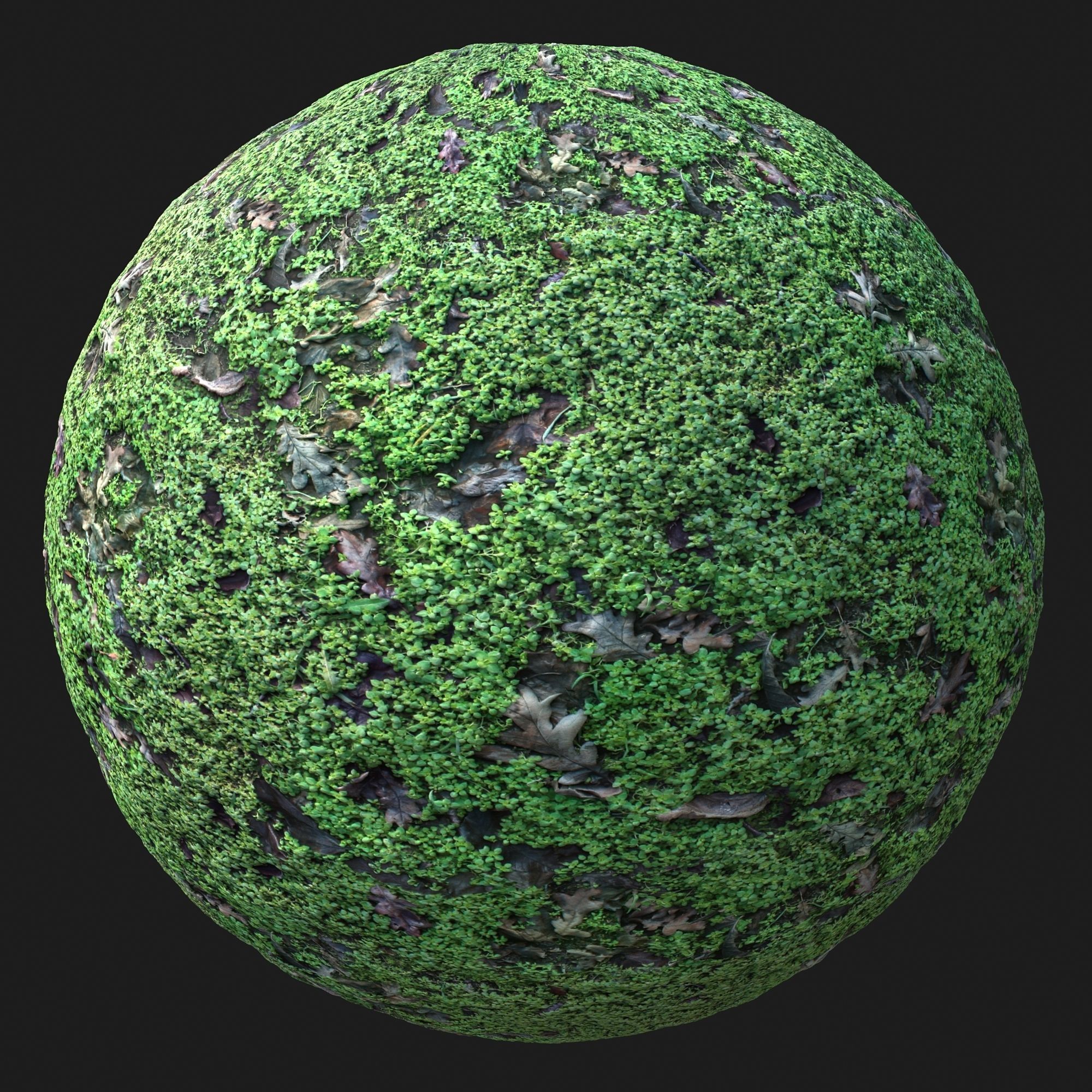 Clover Grass PBR Texture_1