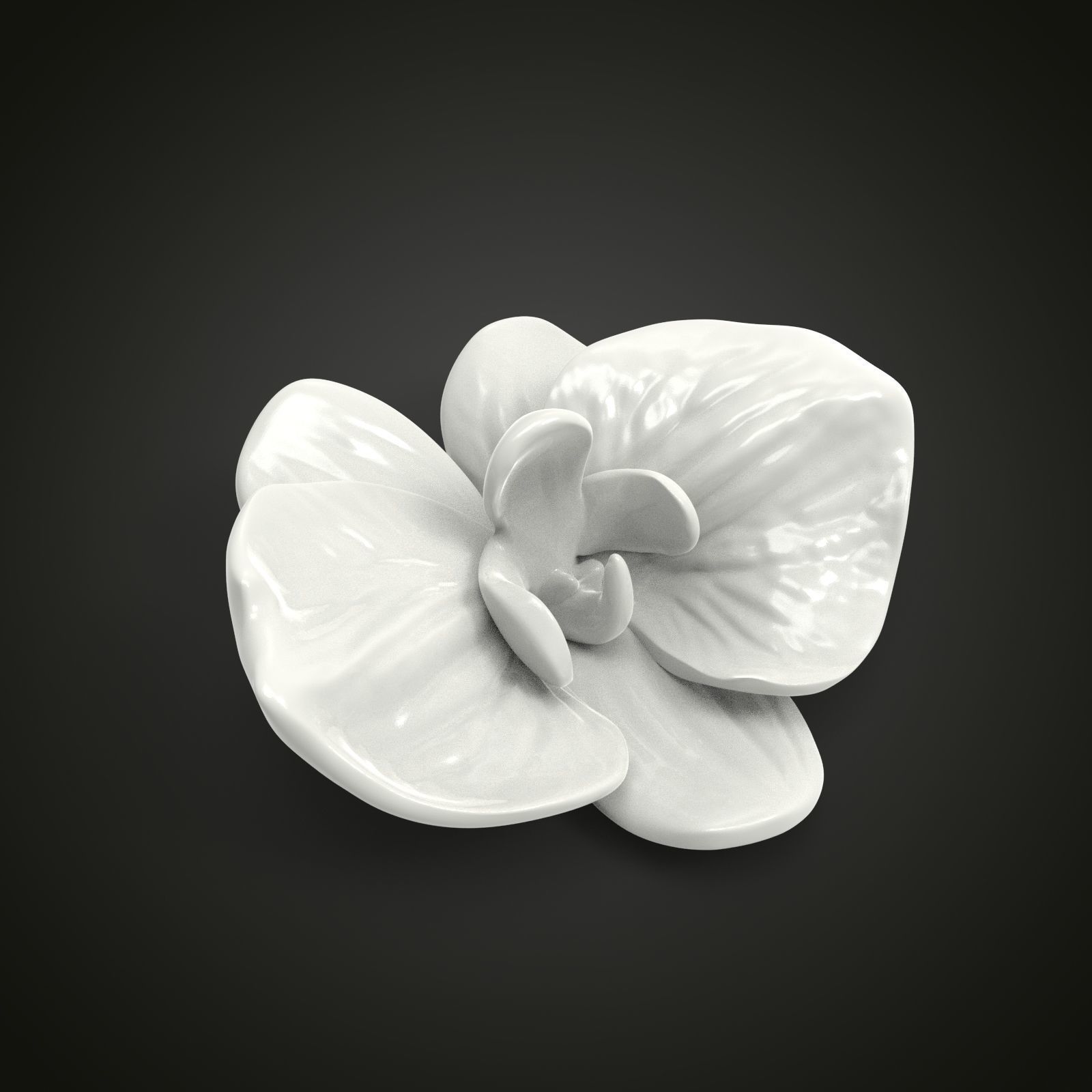Orchid flower 3D print model_7