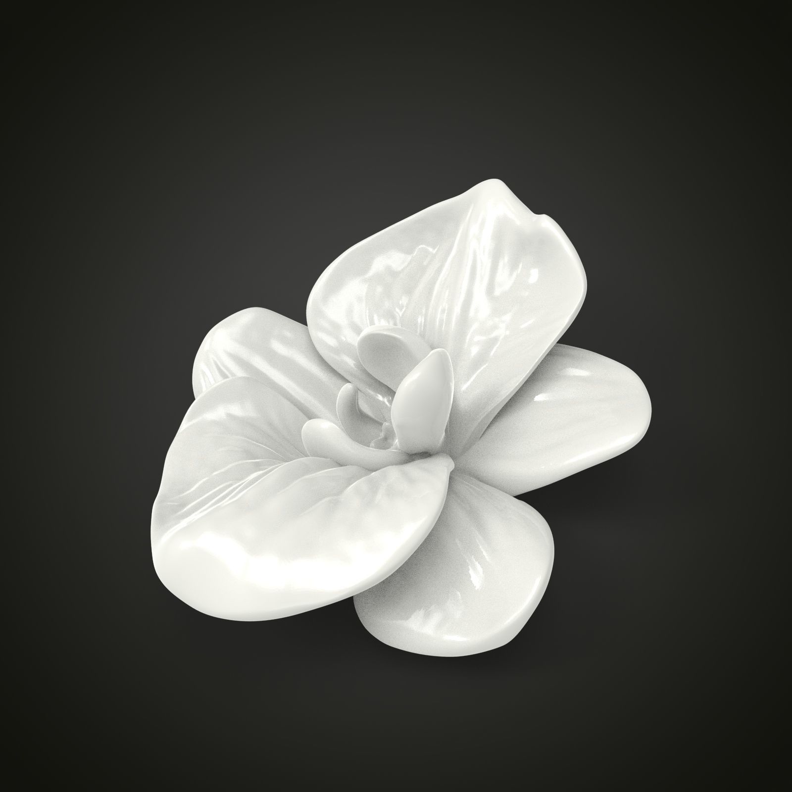 Orchid flower 3D print model_4