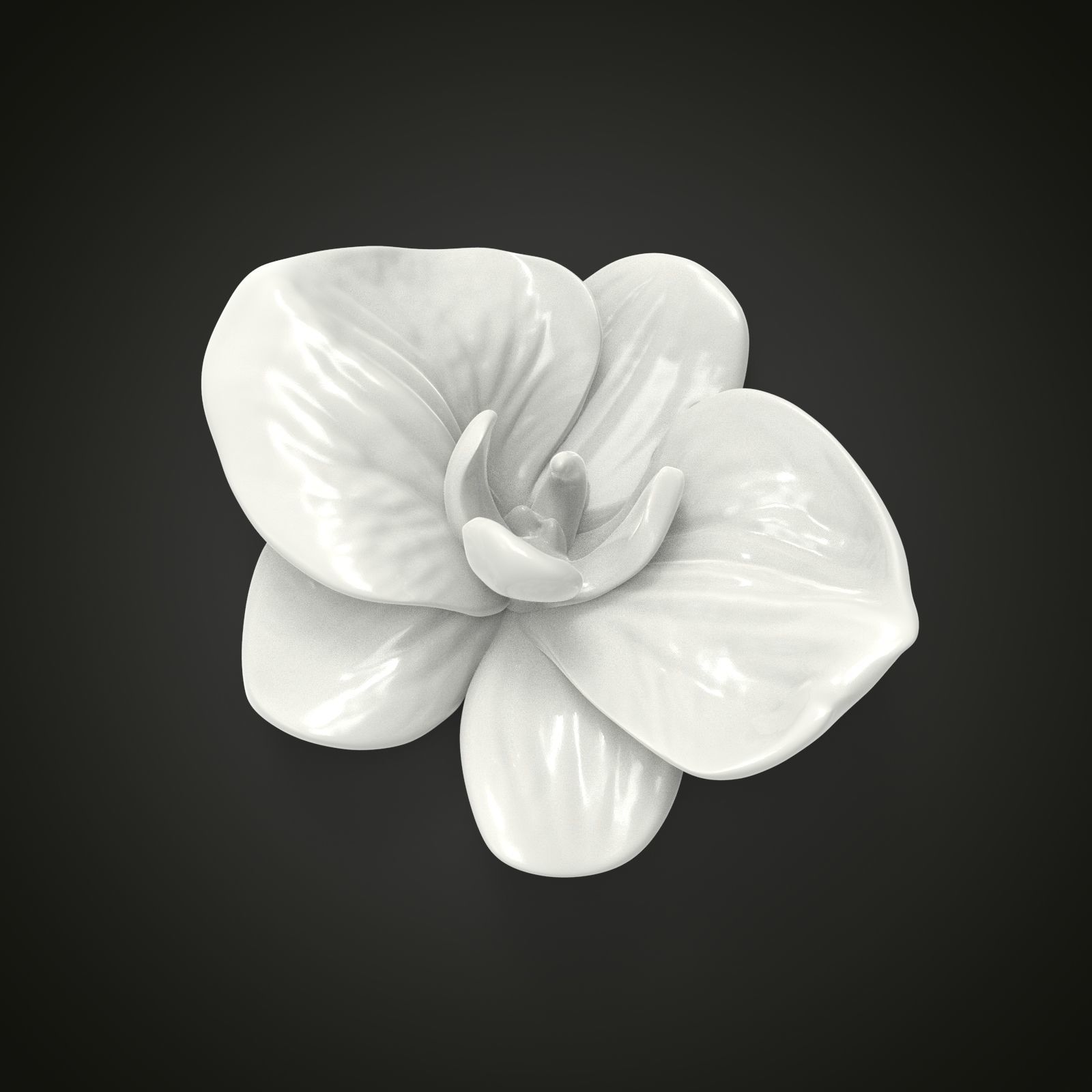 Orchid flower 3D print model_6
