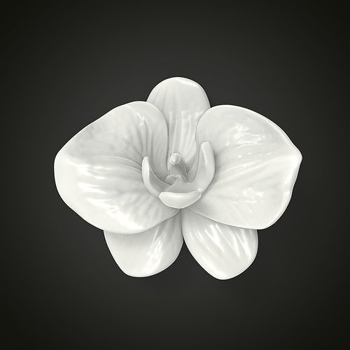 Orchid flower 3D print model