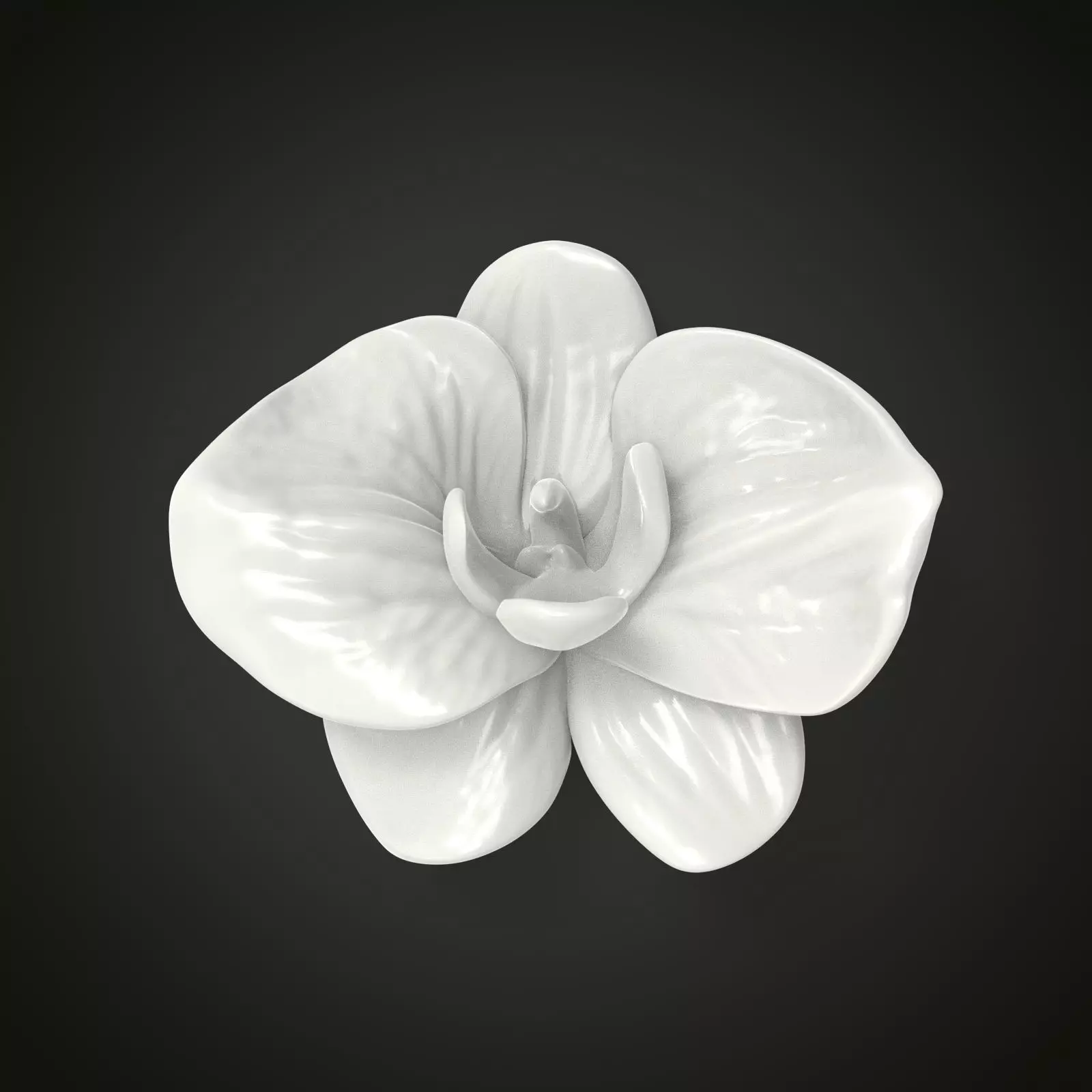 Orchid flower 3D print model_0