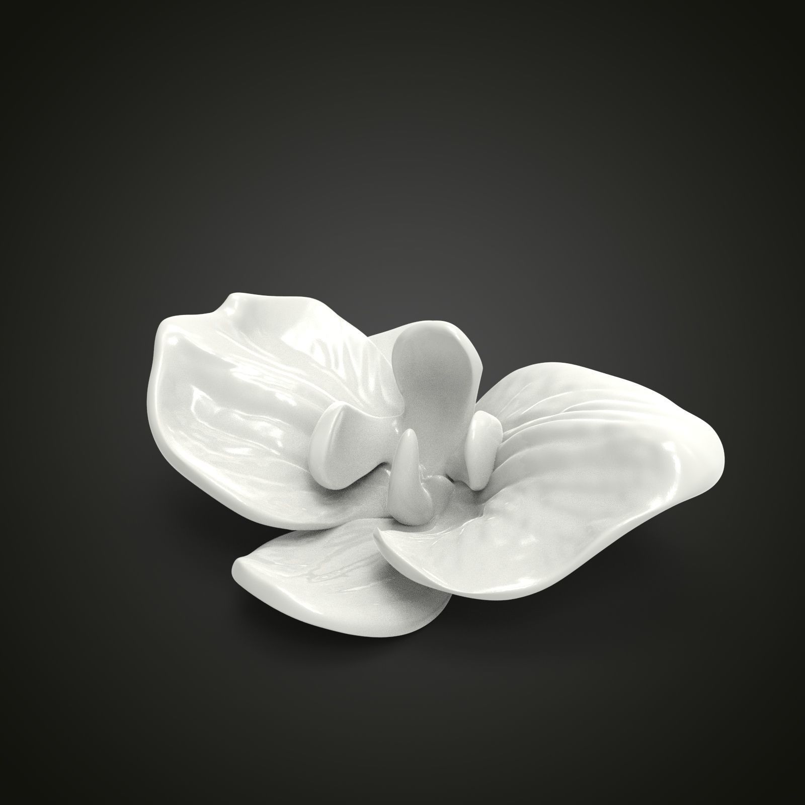 Orchid flower 3D print model_3
