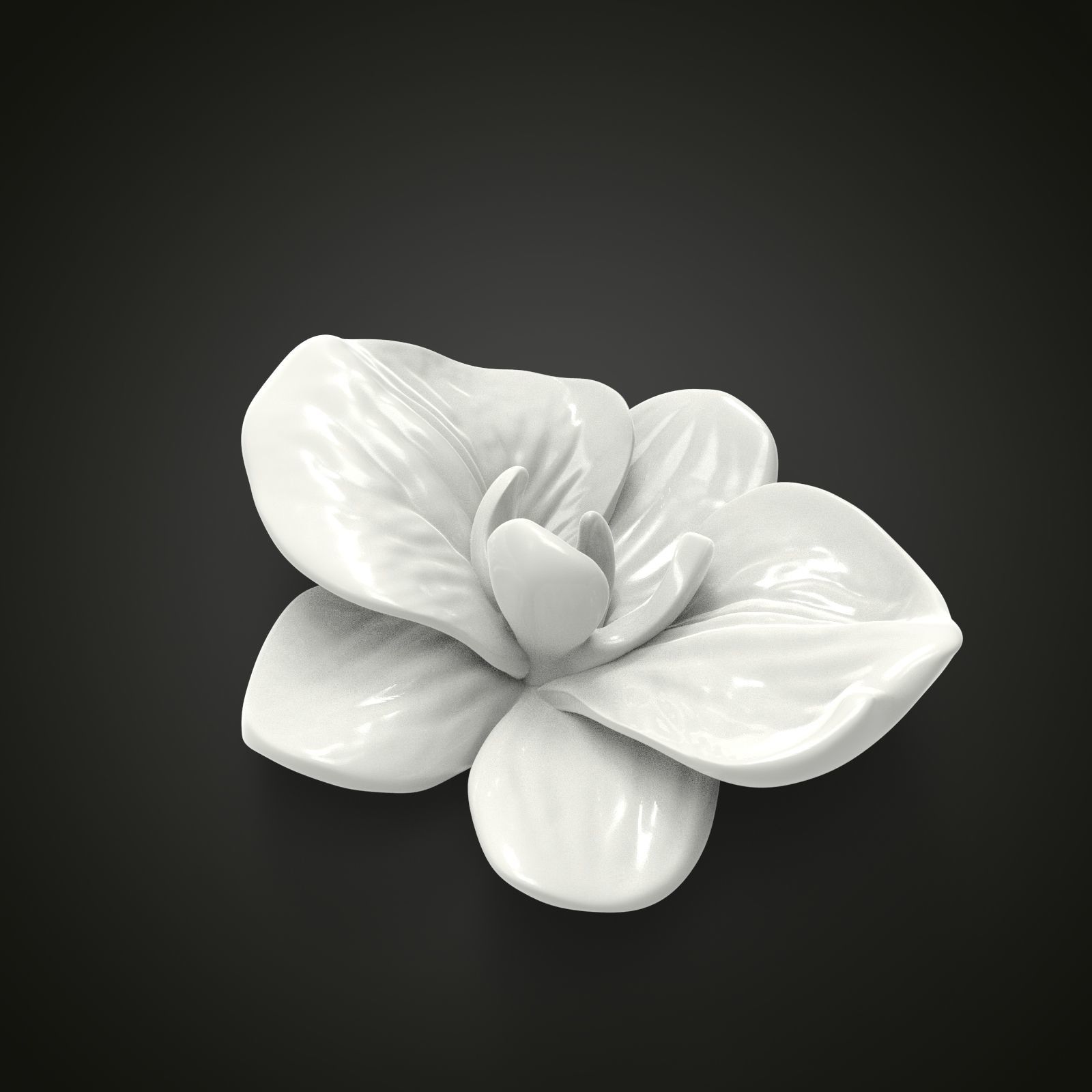 Orchid flower 3D print model_1