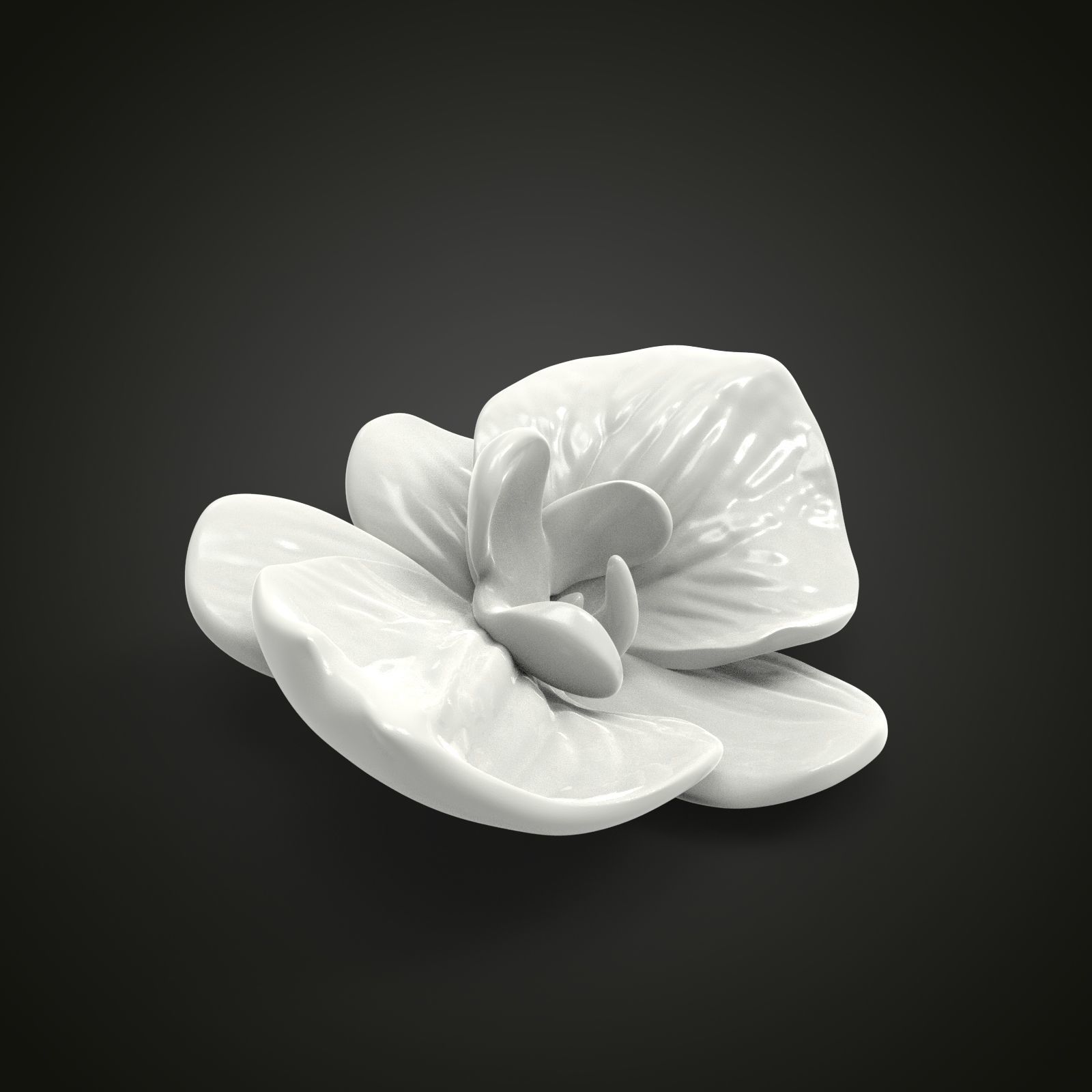 Orchid flower 3D print model_2