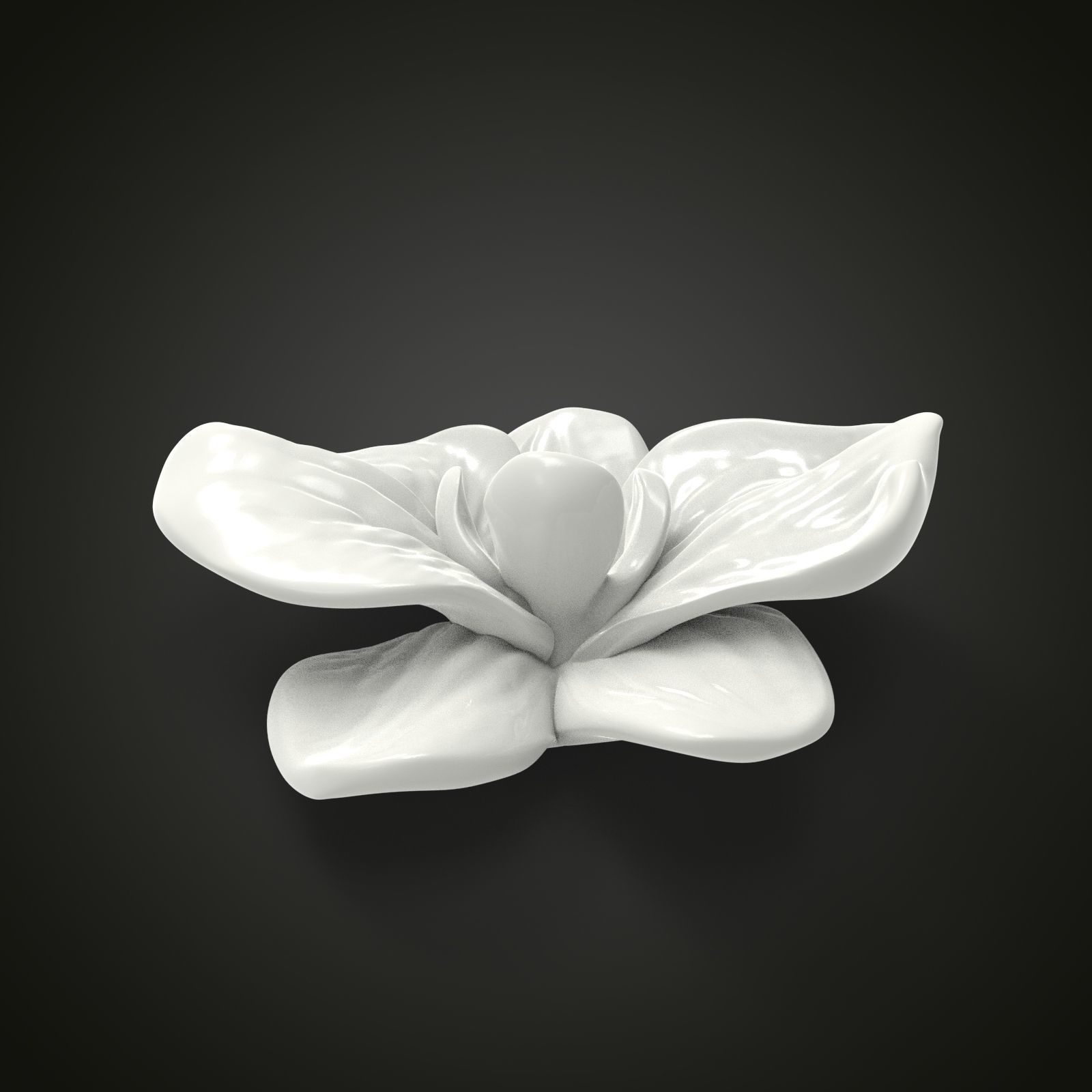 Orchid flower 3D print model_5