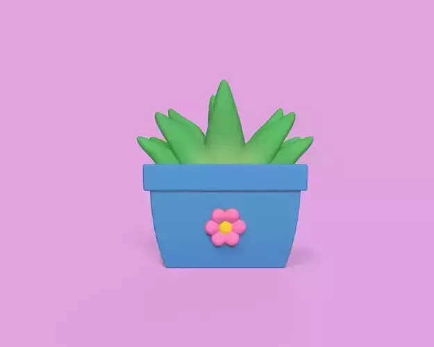 Succulent Plant Pot