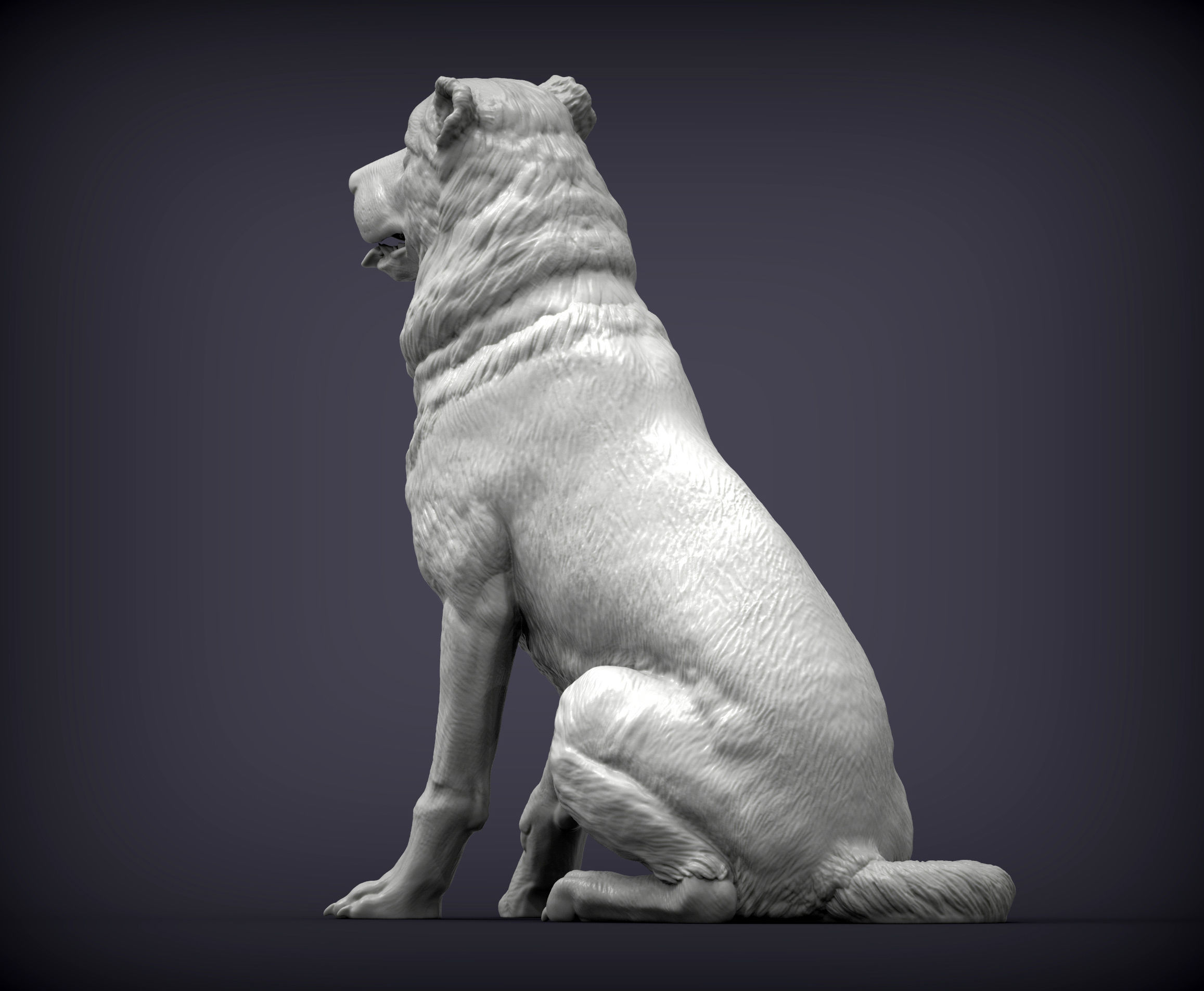 Central asian shepherd dog 3D print model_2