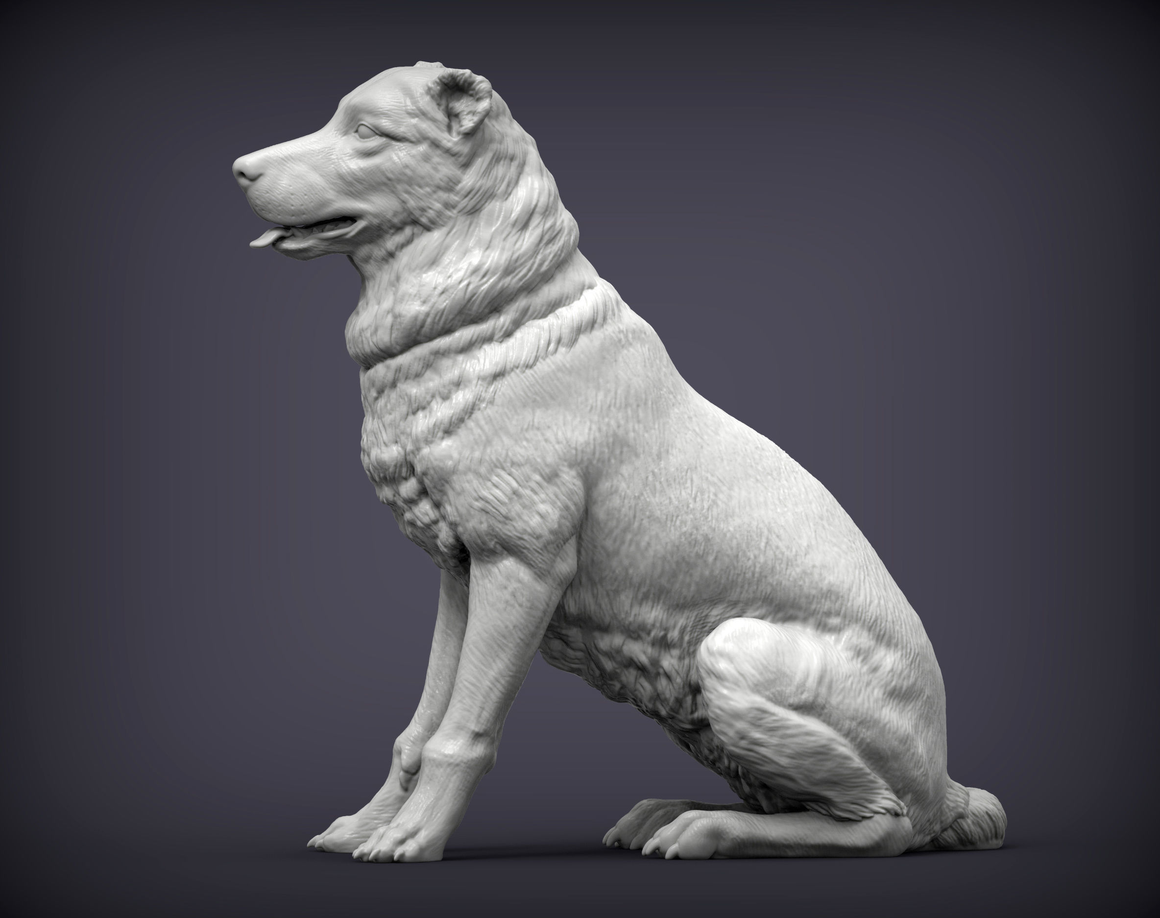 Central asian shepherd dog 3D print model_3