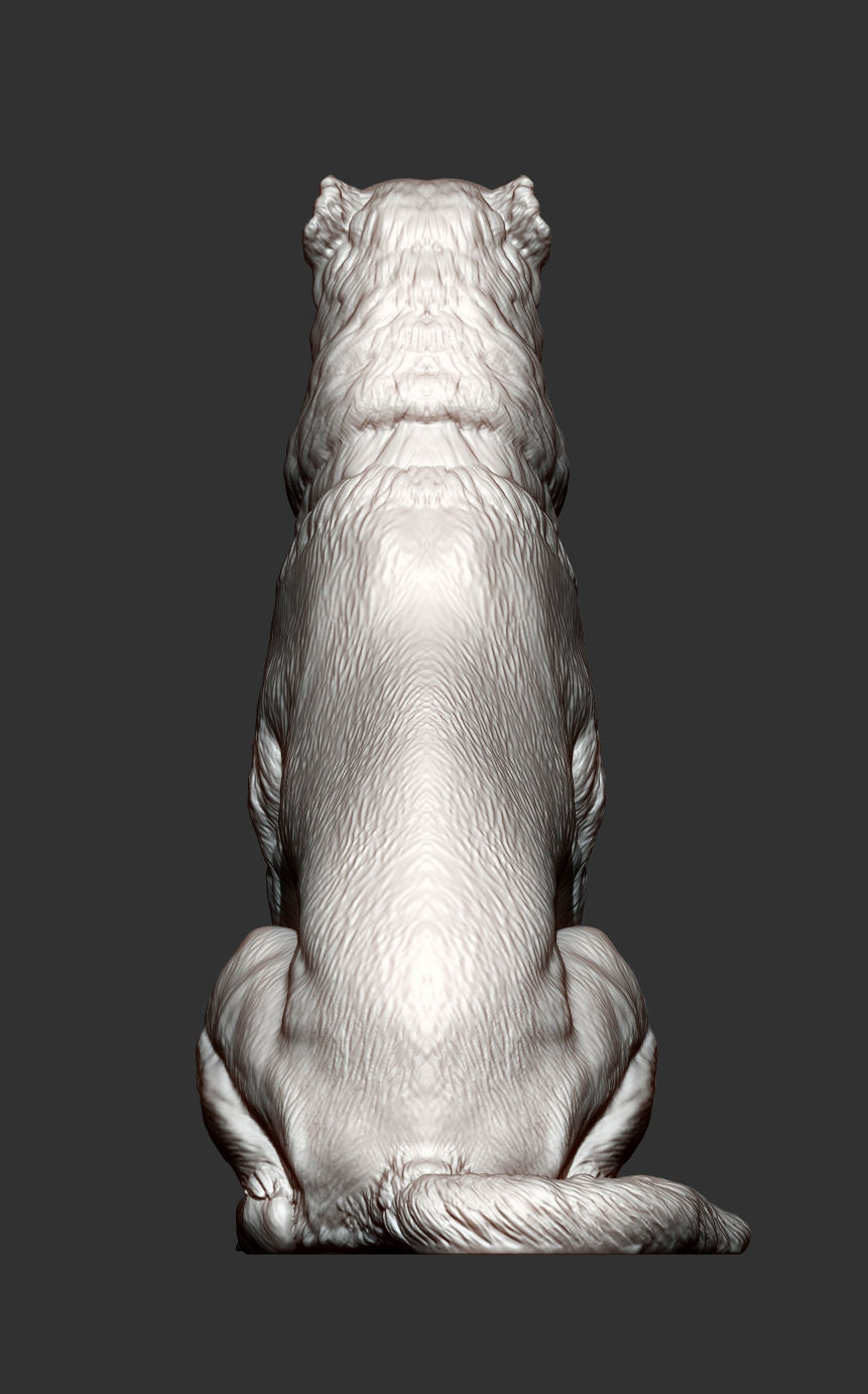 Central asian shepherd dog 3D print model_5