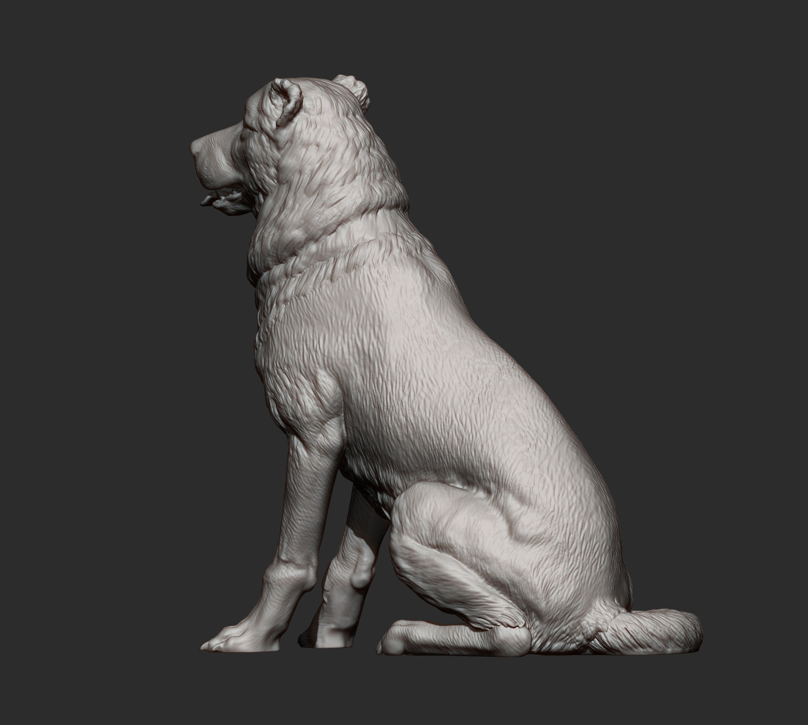 Central asian shepherd dog 3D print model_6