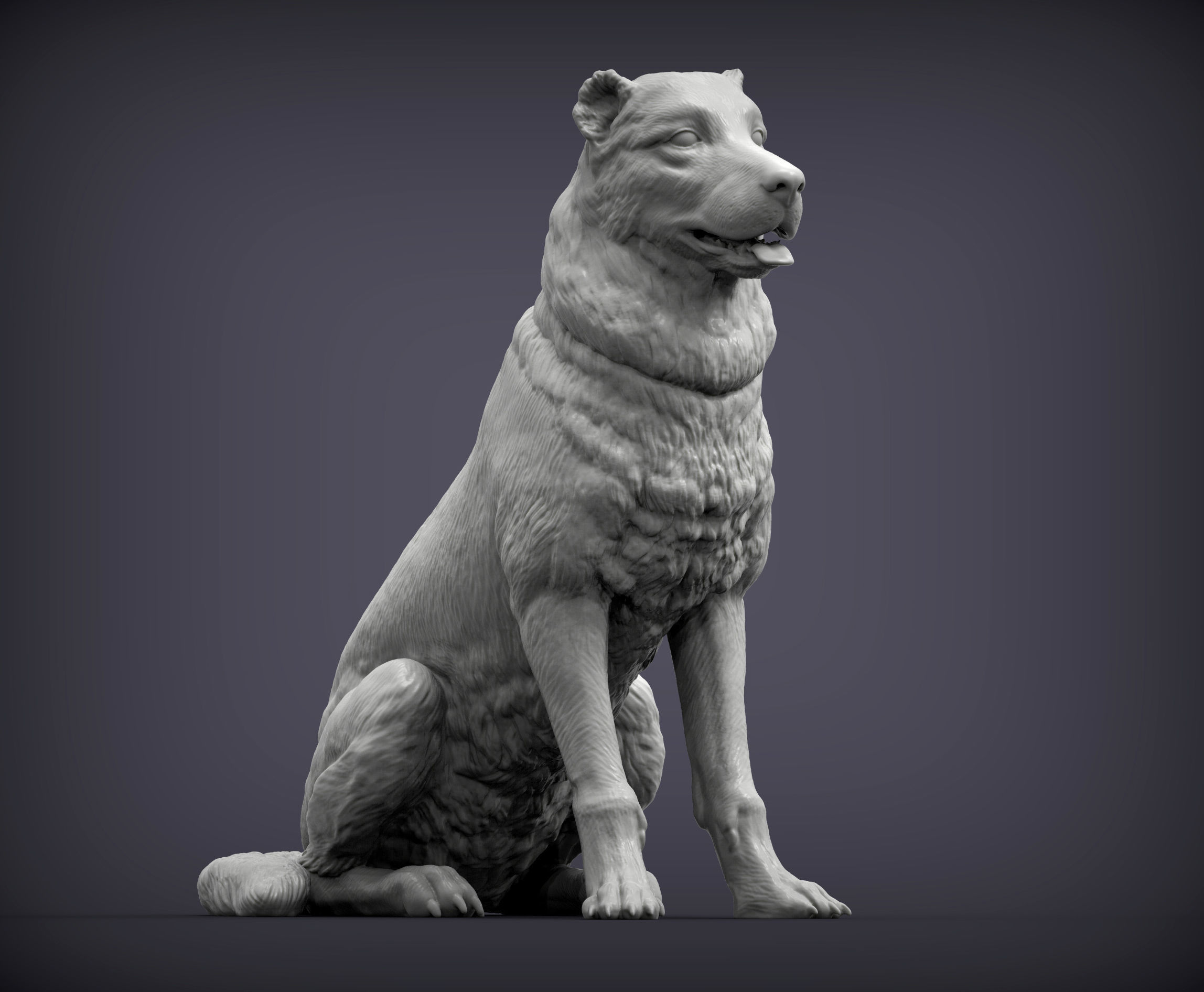 Central asian shepherd dog 3D print model_1