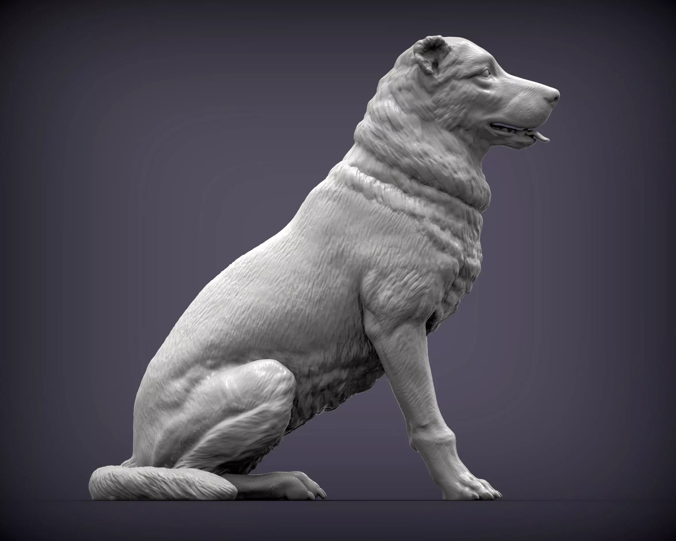 Central asian shepherd dog 3D print model_0