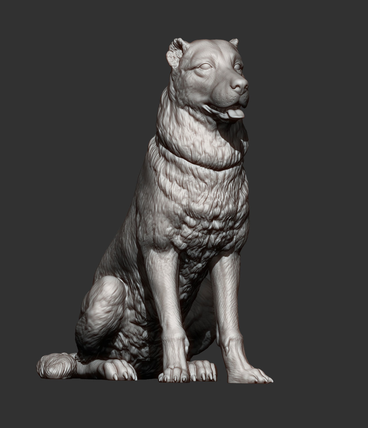Central asian shepherd dog 3D print model_4