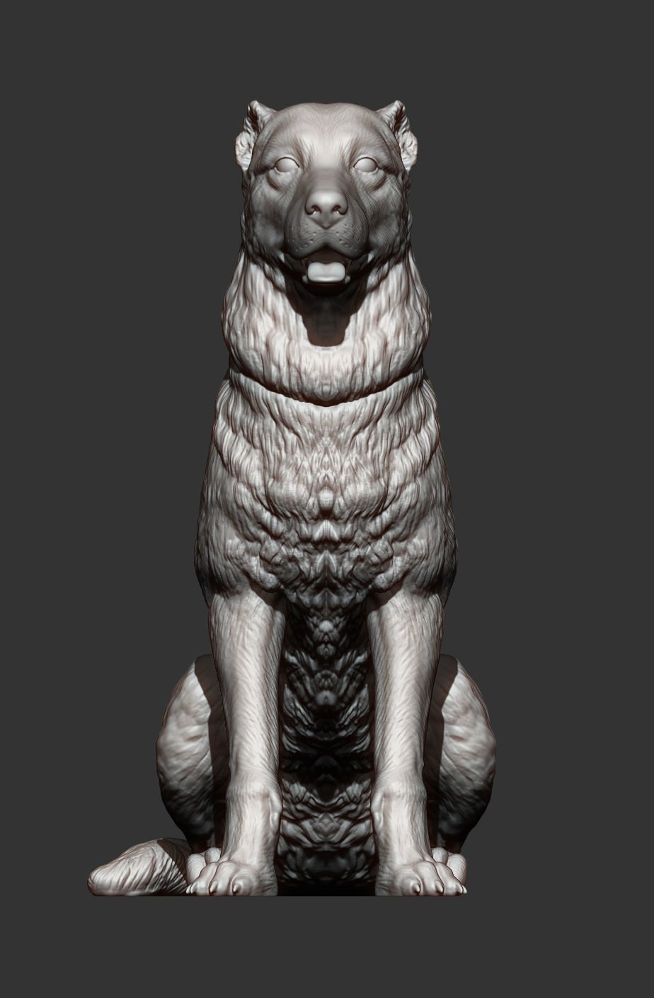 Central asian shepherd dog 3D print model_8