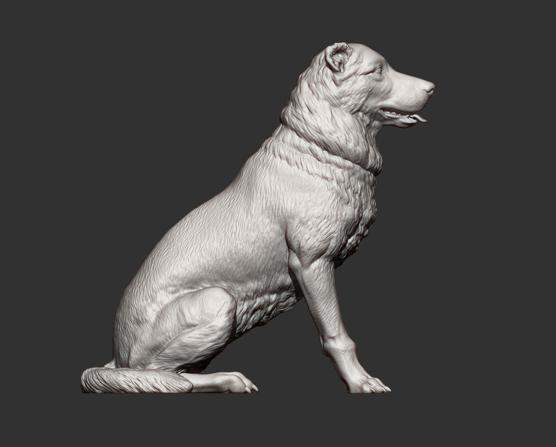 Central asian shepherd dog 3D print model_7