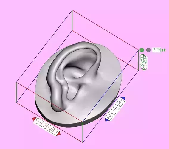 Real ear anatomy scanned model of 4 yrs girl 3D print model