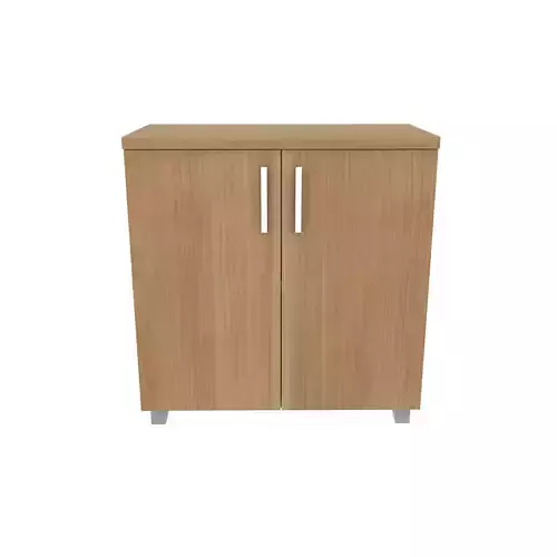 Cabinet wooden with two doors