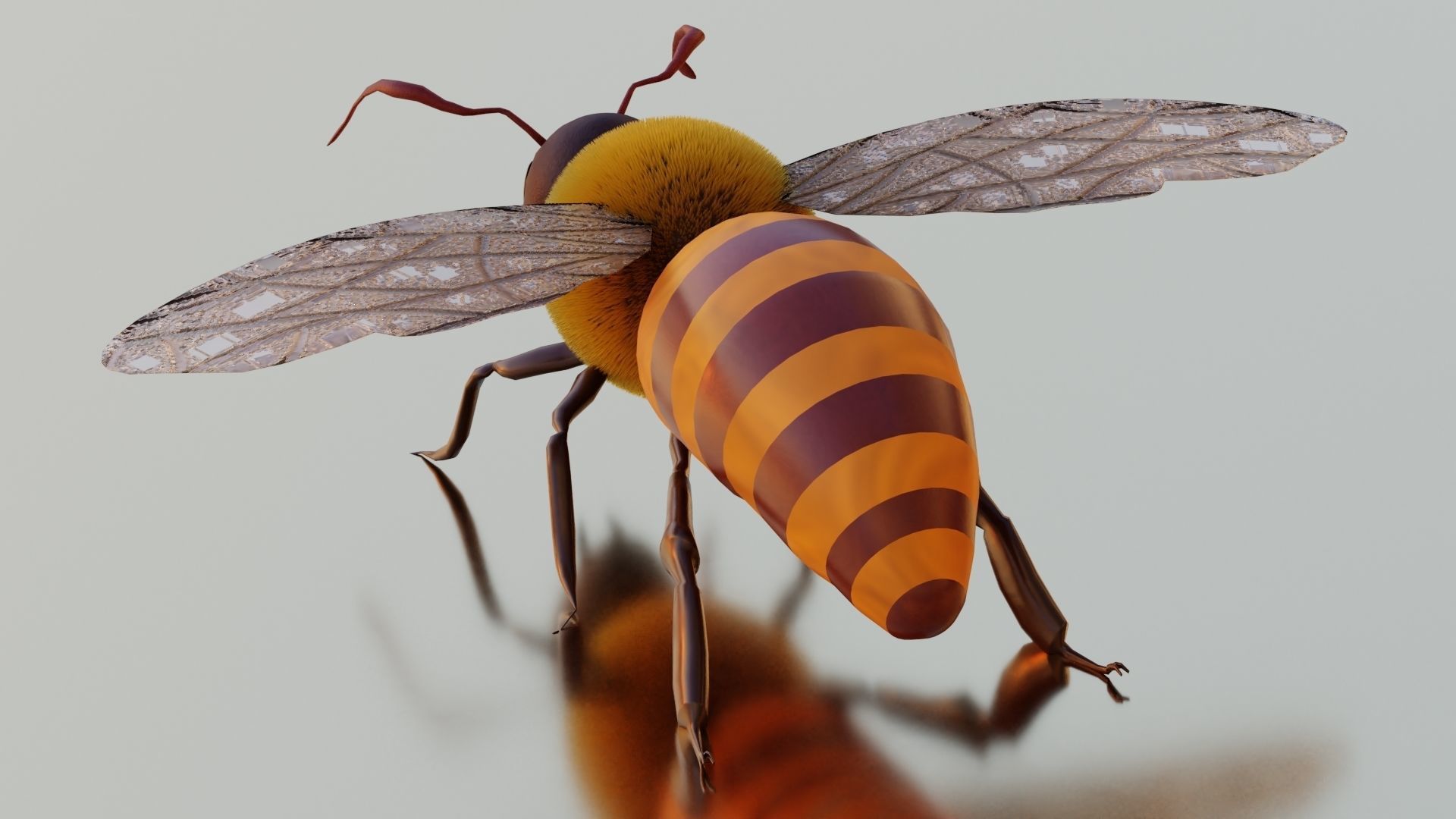 Honey Bee Rigged and Animated For Easy Non Linear Animation Low-poly 3D model_3