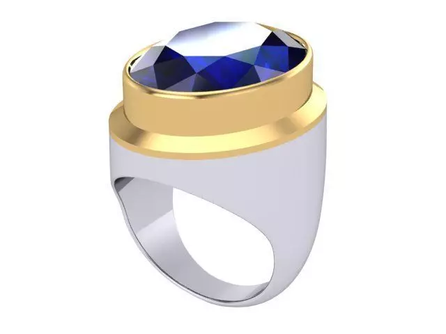 Two Tone Big Ring 3D print model
