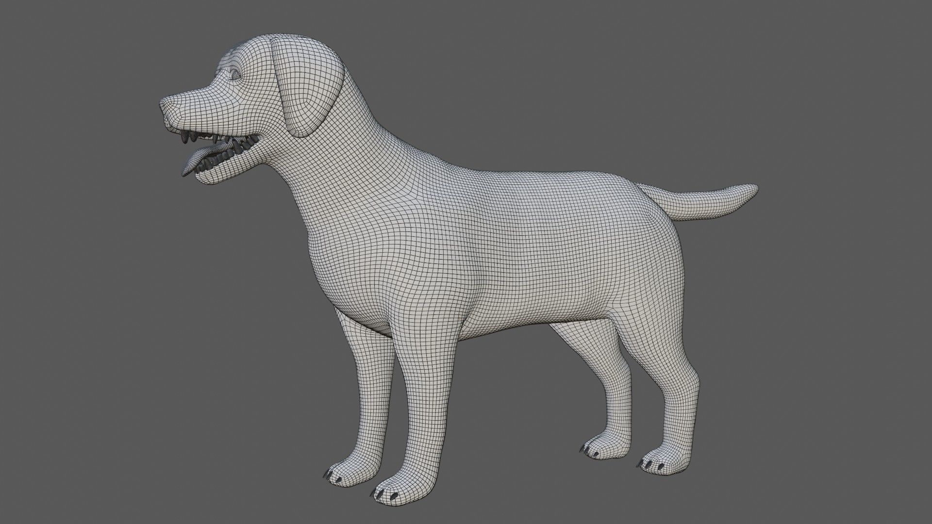 Labrador retriever Low-poly 3D model_9