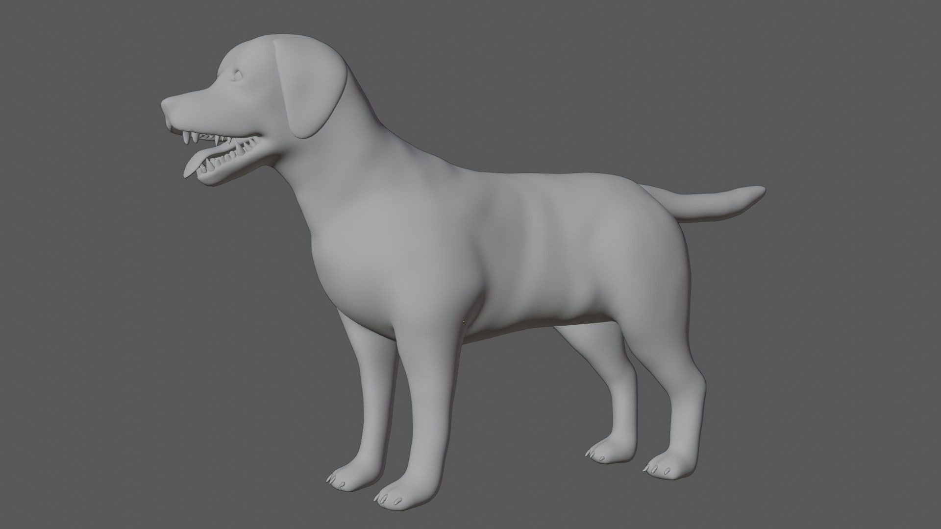 Labrador retriever Low-poly 3D model_8