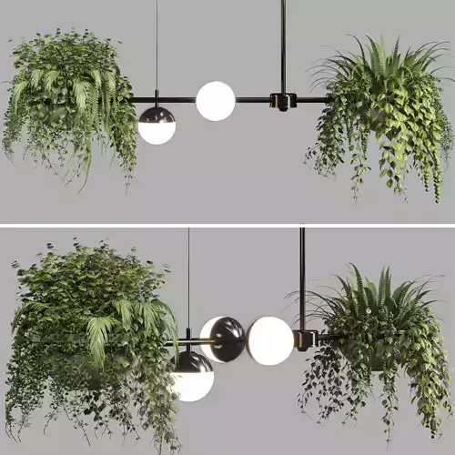 pendant light plant Indoor  outdoor plants hanging pot 3D model