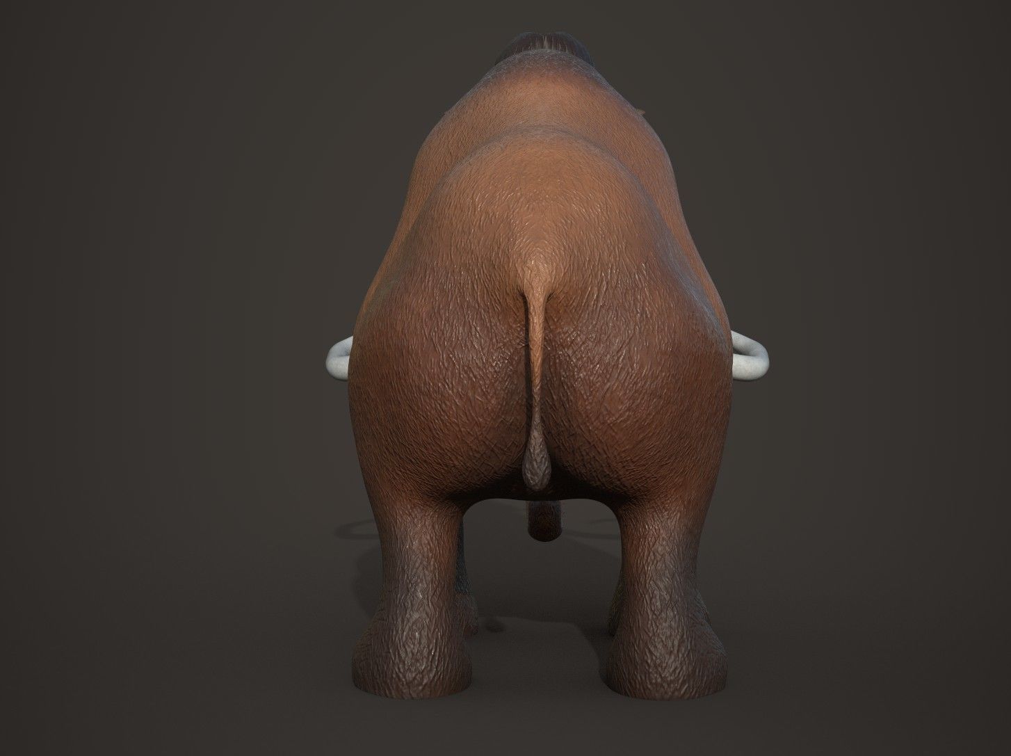 Cartoon Mammoth Character 3D model_5