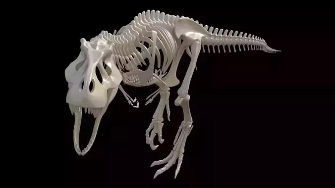 dinosaur t - rex skeleton 3D model