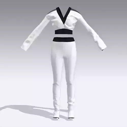 BLOUSE AND TIGHT PANT