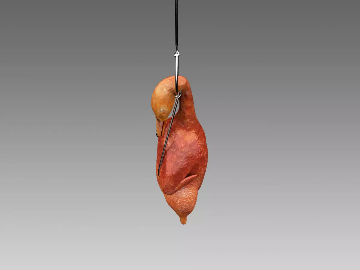 Hanging Roast Duck Low-poly 3D model_0