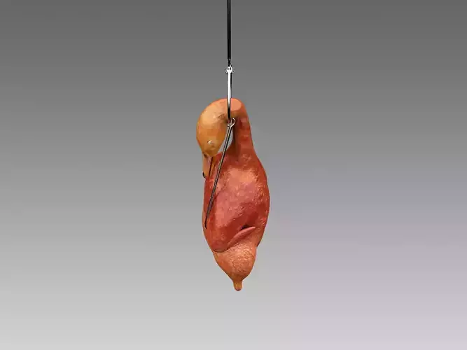  Hanging Roast Duck