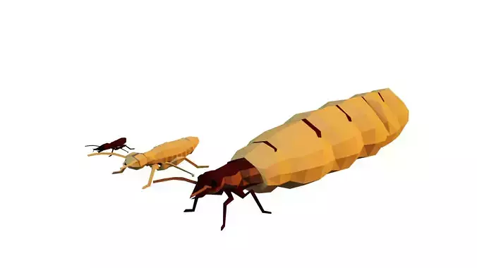 Termits two insects Low-poly 3D model