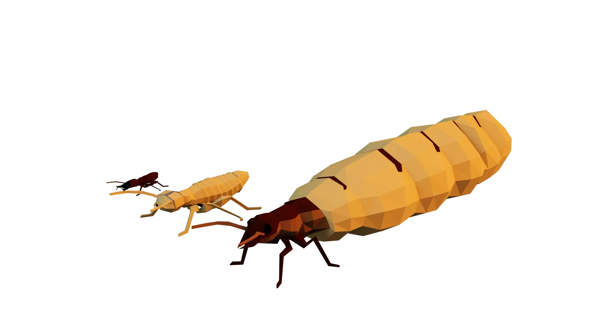 Termits two insects Low-poly 3D model_0
