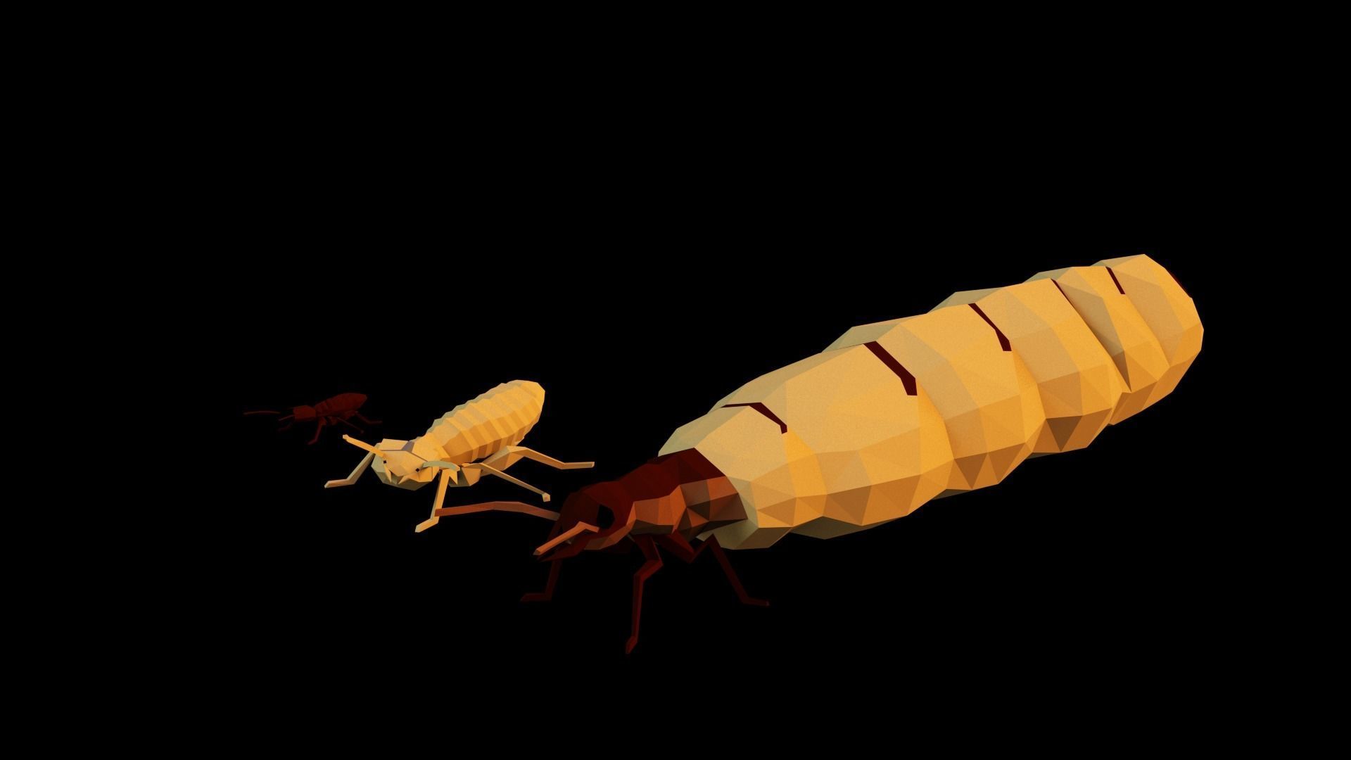 Termits two insects Low-poly 3D model_68