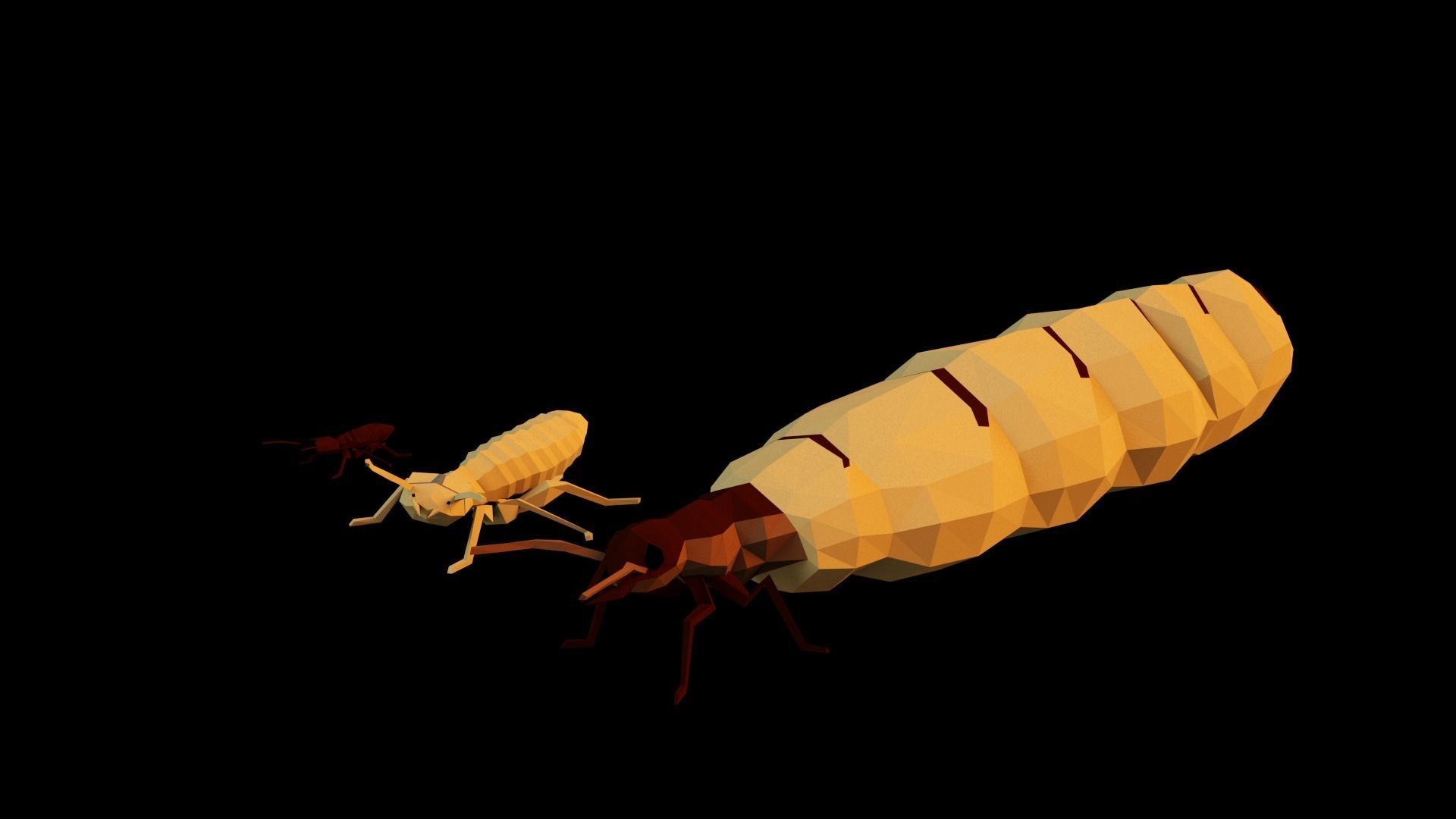 Termits two insects Low-poly 3D model_63
