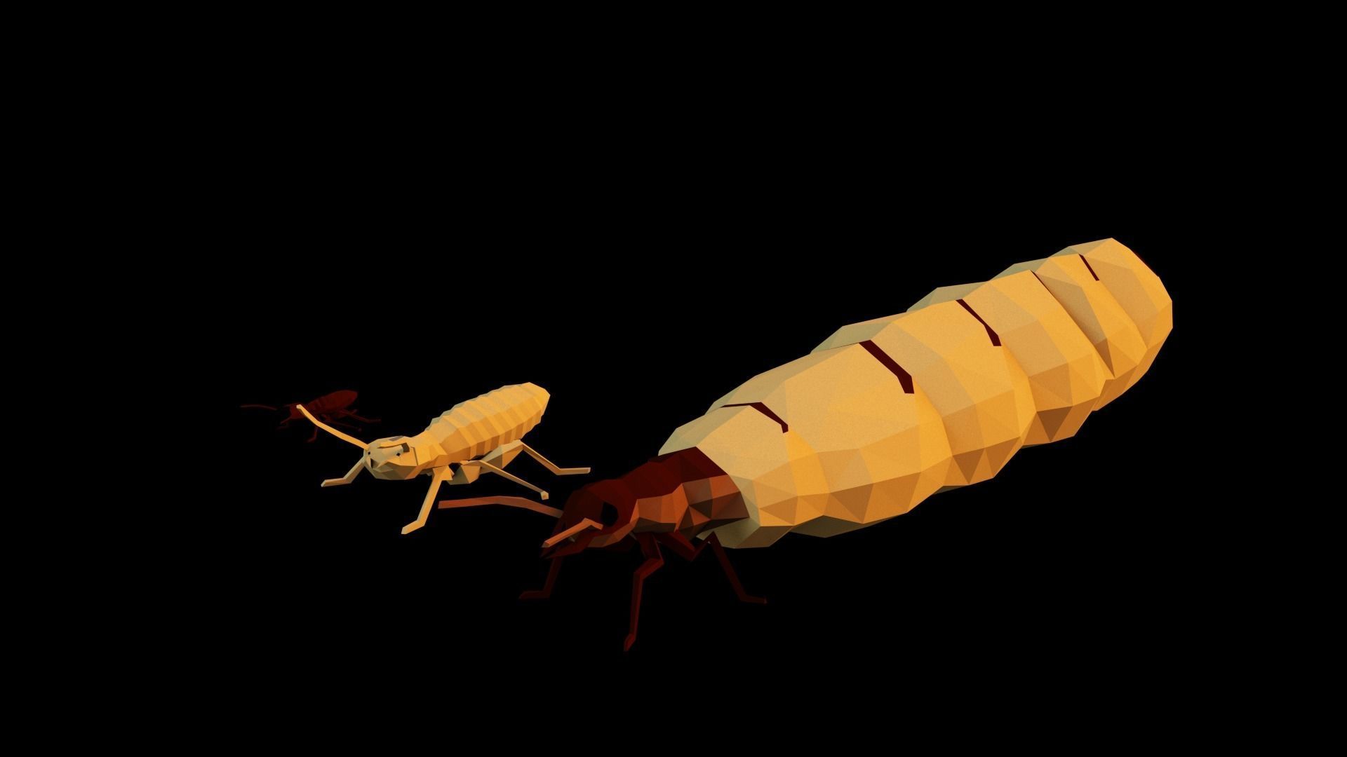 Termits two insects Low-poly 3D model_32