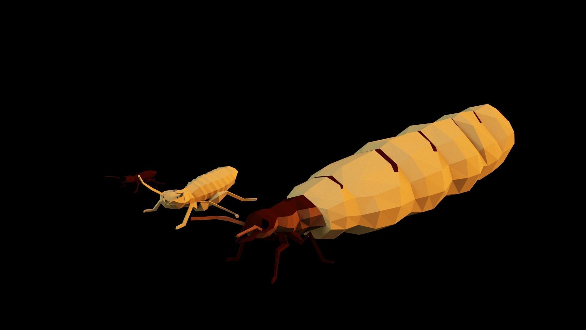Termits two insects Low-poly 3D model_46